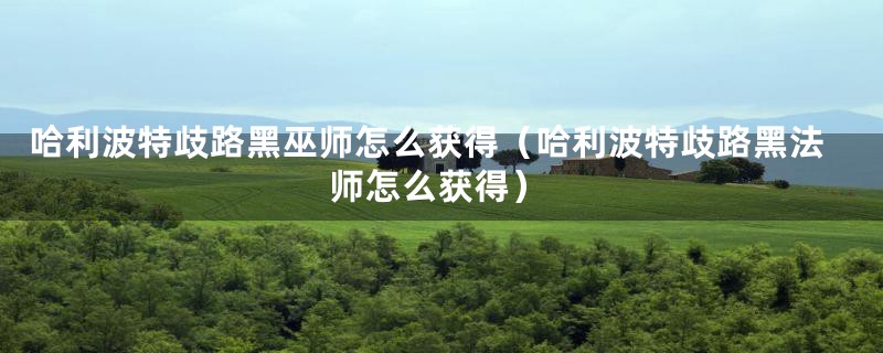 哈利波特歧路黑巫师怎么获得（哈利波特歧路黑法师怎么获得）