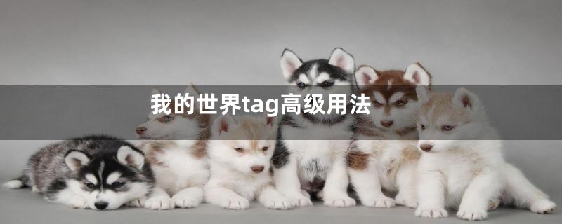 我的世界tag高级用法