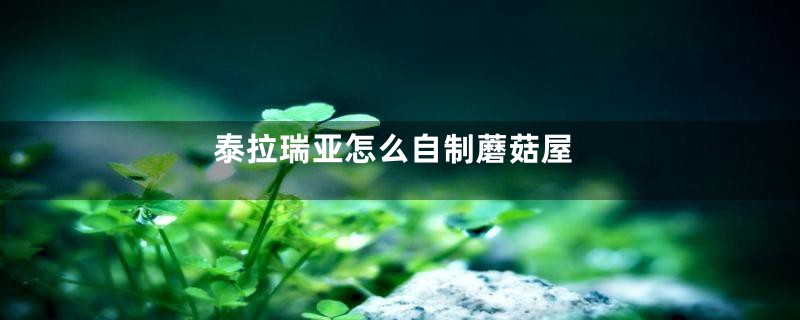 泰拉瑞亚怎么自制蘑菇屋