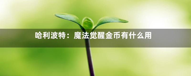 哈利波特：魔法觉醒金币有什么用