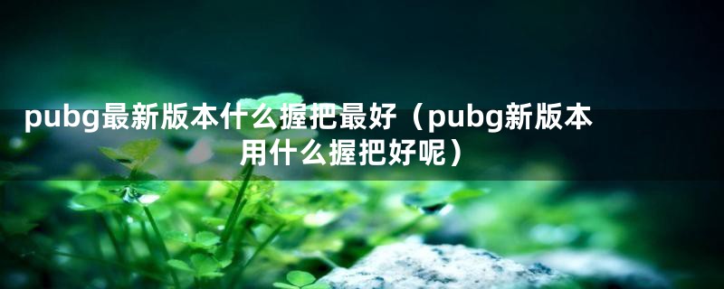 pubg最新版本什么握把最好（pubg新版本用什么握把好呢）