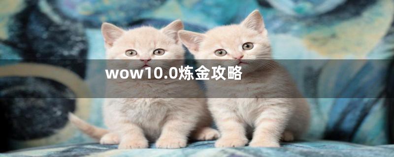 wow10.0炼金攻略