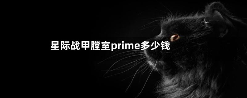 星际战甲膛室prime多少钱