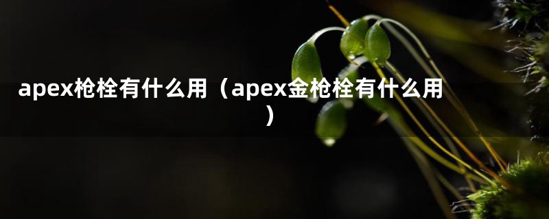 apex枪栓有什么用（apex金枪栓有什么用）