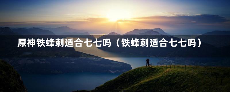 原神铁蜂刺适合七七吗（铁蜂刺适合七七吗）