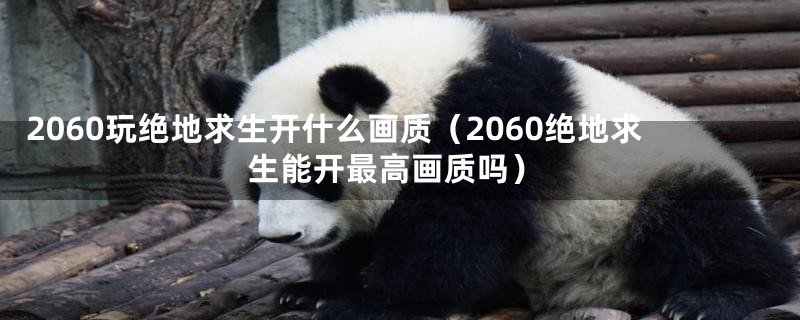 2060玩绝地求生开什么画质（2060绝地求生能开最高画质吗）