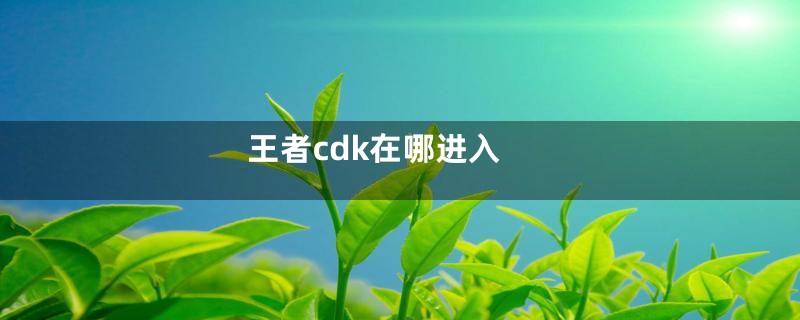 王者cdk在哪进入