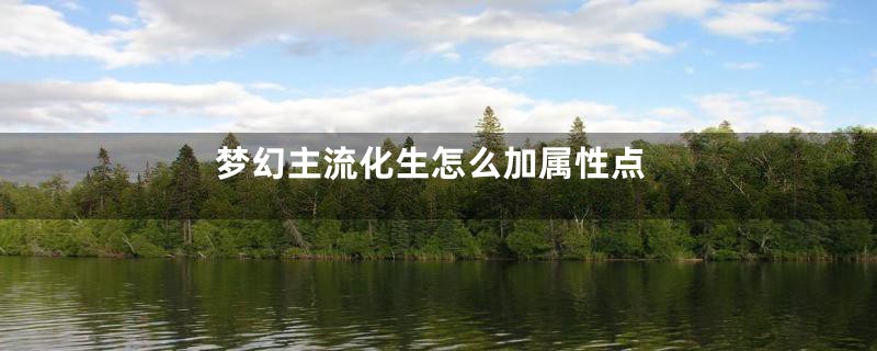 梦幻主流化生怎么加属性点