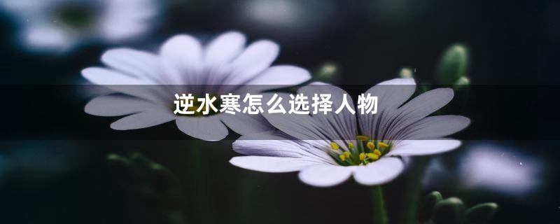 逆水寒怎么选择人物