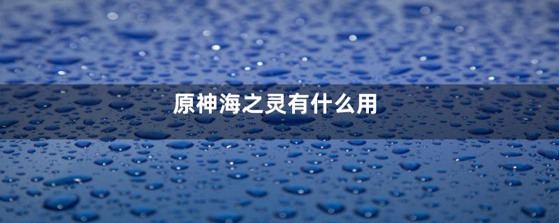 原神海之灵有什么用