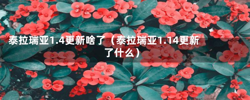 泰拉瑞亚1.4更新啥了（泰拉瑞亚1.14更新了什么）