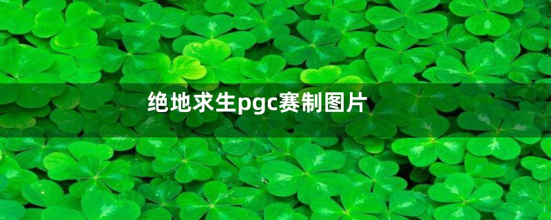 绝地求生pgc赛制图片