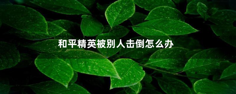 和平精英被别人击倒怎么办