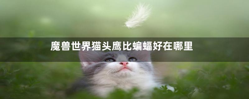 魔兽世界猫头鹰比蝙蝠好在哪里