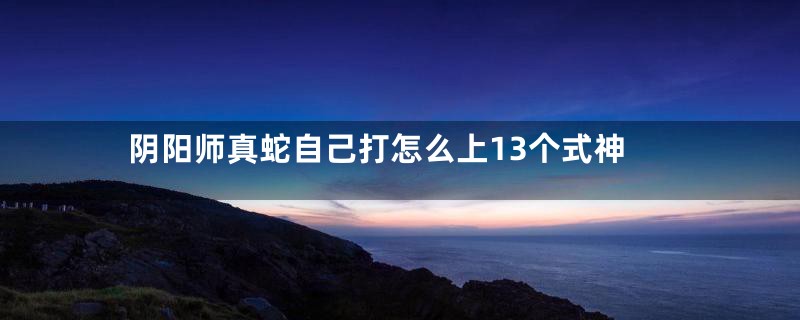 阴阳师真蛇自己打怎么上13个式神