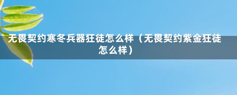 无畏契约寒冬兵器狂徒怎么样（无畏契约紫金狂徒怎么样）