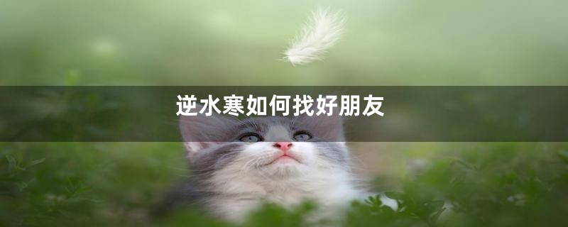 逆水寒如何找好朋友