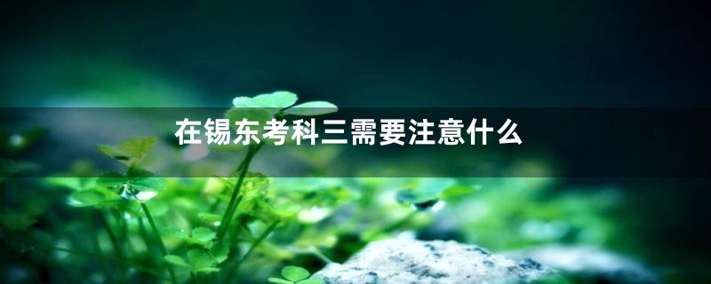 在锡东考科三需要注意什么