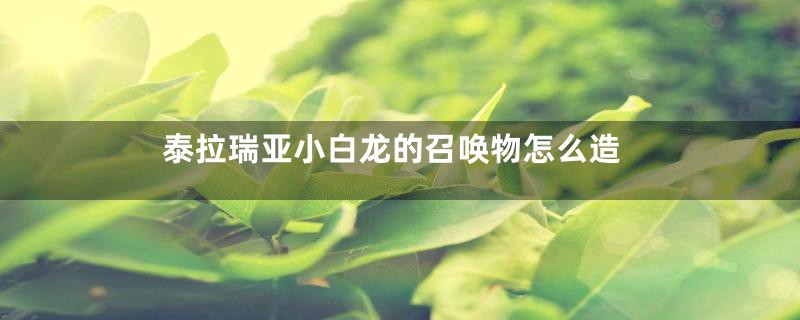 泰拉瑞亚小白龙的召唤物怎么造