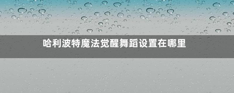 哈利波特魔法觉醒舞蹈设置在哪里