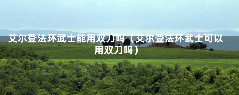 艾尔登法环武士能用双刀吗（艾尔登法环武士可以用双刀吗）