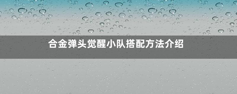 合金弹头觉醒小队搭配方法介绍