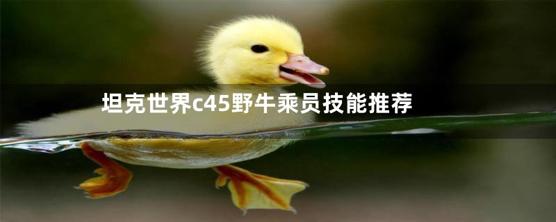 坦克世界c45野牛乘员技能推荐