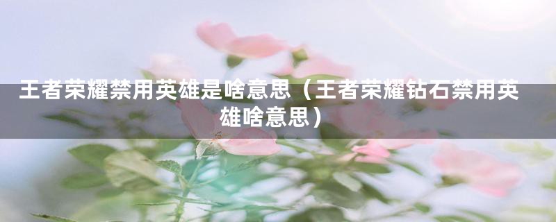 王者荣耀禁用英雄是啥意思（王者荣耀钻石禁用英雄啥意思）