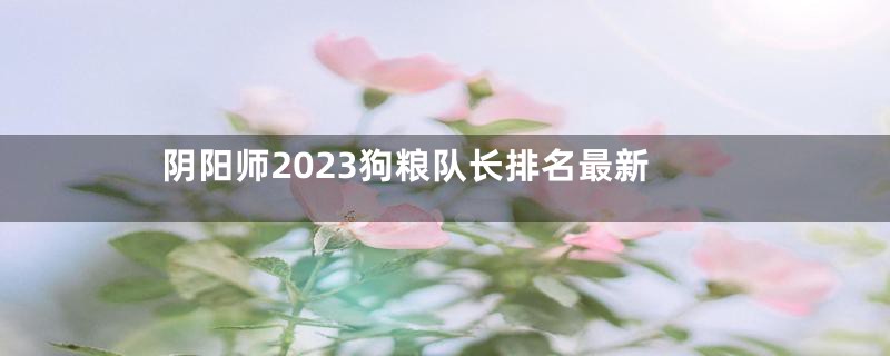 阴阳师2023狗粮队长排名最新