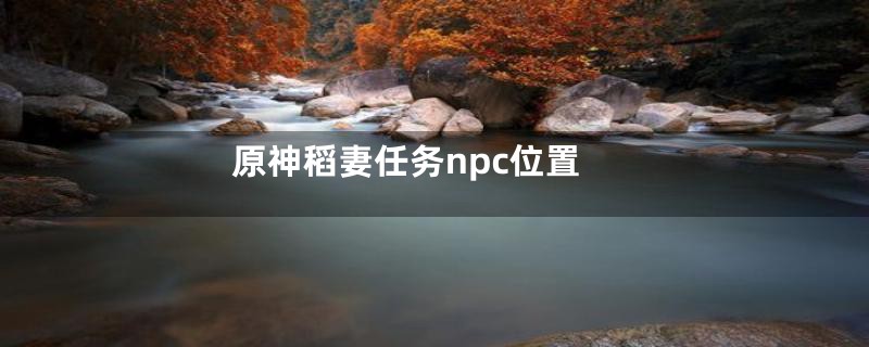 原神稻妻任务npc位置