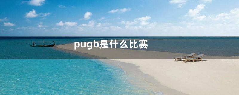 pugb是什么比赛