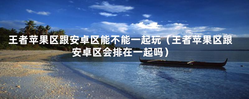 王者苹果区跟安卓区能不能一起玩（王者苹果区跟安卓区会排在一起吗）