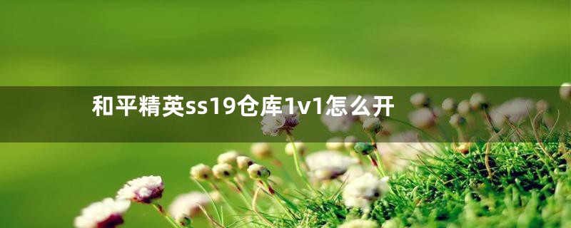 和平精英ss19仓库1v1怎么开