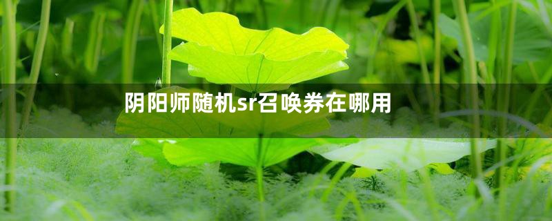 阴阳师随机sr召唤券在哪用