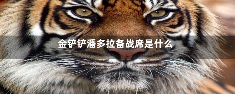 金铲铲潘多拉备战席是什么