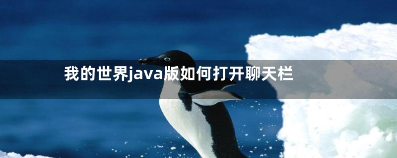 我的世界java版如何打开聊天栏