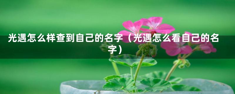 光遇怎么样查到自己的名字（光遇怎么看自己的名字）