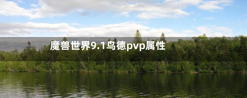 魔兽世界9.1鸟德pvp属性