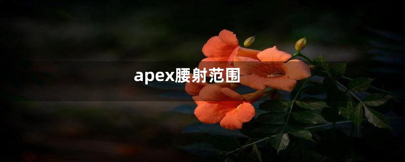 apex腰射范围