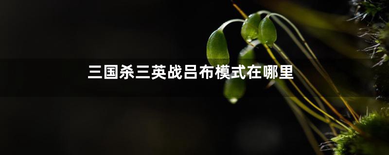 三国杀三英战吕布模式在哪里