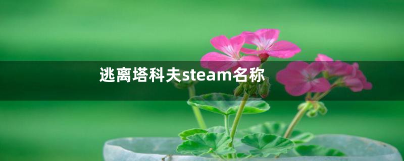 逃离塔科夫steam名称