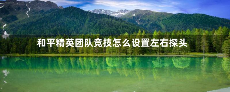 和平精英团队竞技怎么设置左右探头