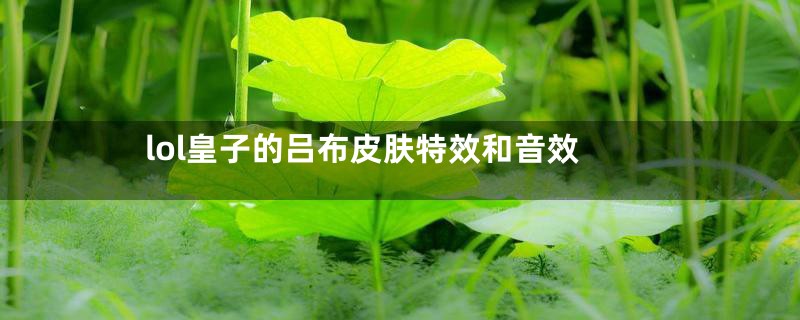 lol皇子的吕布皮肤特效和音效