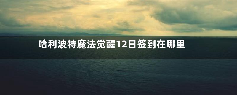 哈利波特魔法觉醒12日签到在哪里