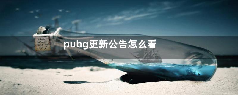 pubg更新公告怎么看