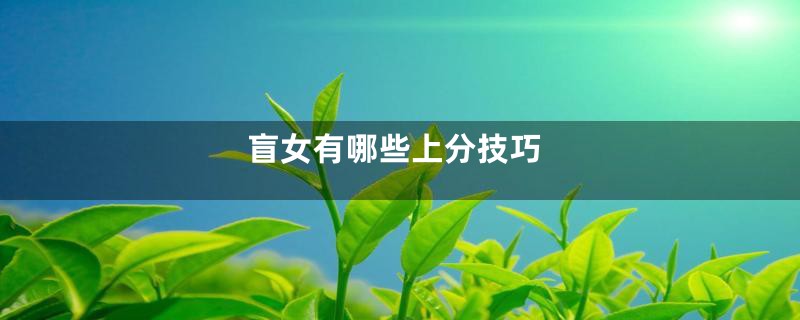 盲女有哪些上分技巧