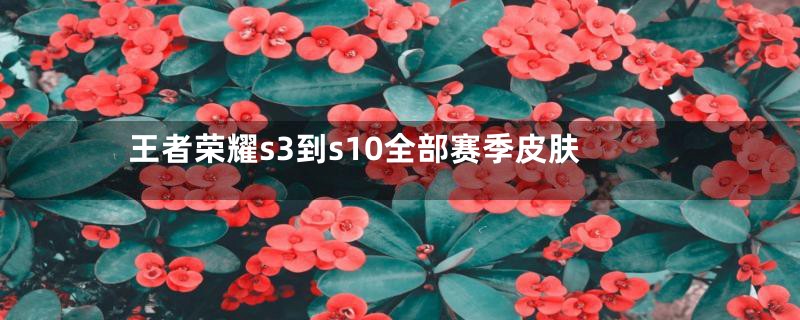 王者荣耀s3到s10全部赛季皮肤