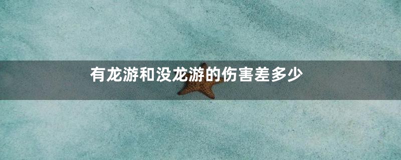 有龙游和没龙游的伤害差多少