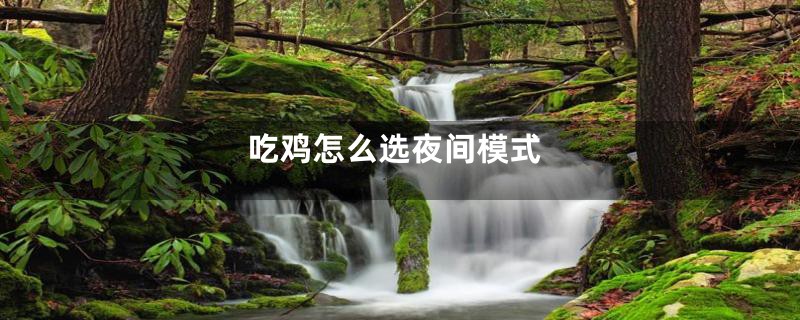 吃鸡怎么选夜间模式