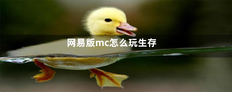 网易版mc怎么玩生存